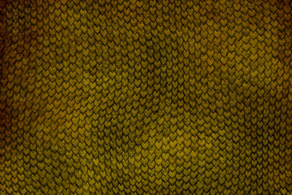 peau de dragon